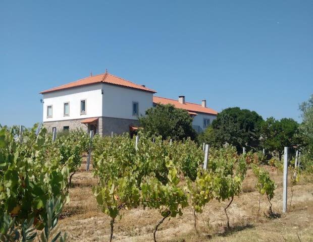 Quinta De Vodra Villa Seia Exteriör bild